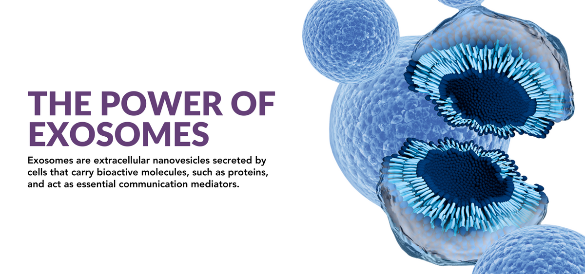 Omni Bioceutical Innovations